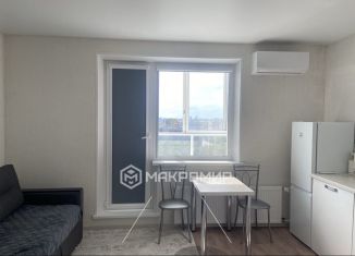 Сдаю квартиру студию, 24 м2, Челябинск, улица Первой Пятилетки, 17А