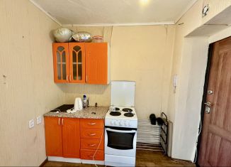 1-ком. квартира на продажу, 22.8 м2, Реж, Спортивная улица, 10