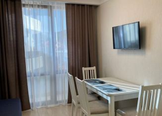 Сдаю в аренду 1-комнатную квартиру, 42 м2, Сочи, Крымская улица, 44А, микрорайон Мамайка