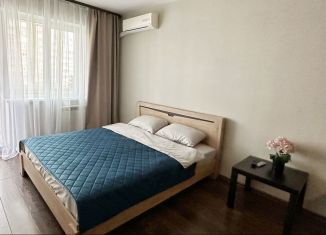 Сдаю двухкомнатную квартиру, 65 м2, Йошкар-Ола, улица Петрова, 20, микрорайон Восточный