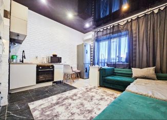 Сдается в аренду квартира студия, 23.8 м2, Тюмень, ЖК Новый Мыс 2.0