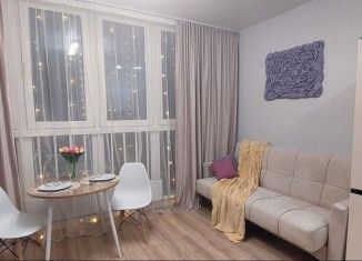 Квартира в аренду студия, 27 м2, Краснодарский край, улица Ивана Беличенко, 92к2