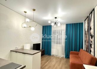 Продается квартира студия, 22 м2, деревня Куюки, Молодёжная улица, 29, ЖК Новые Куюки