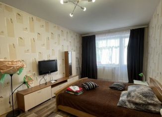 Сдам однокомнатную квартиру, 39 м2, Петрозаводск, Сыктывкарская улица, 17