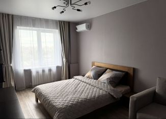 Сдаю в аренду однокомнатную квартиру, 43 м2, Смоленская область, улица Шевченко, 8