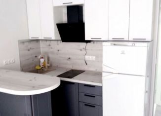 Сдам в аренду квартиру студию, 21 м2, Новороссийск, Парковая улица, 32к60