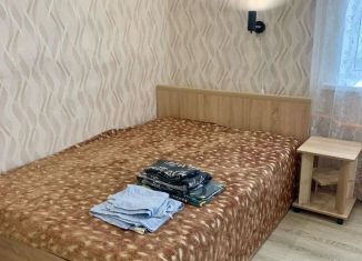 Сдается в аренду 1-комнатная квартира, 30 м2, Великий Новгород, улица Черемнова-Конюхова, 8