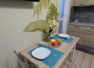 Сдам квартиру студию, 30 м2, Санкт-Петербург, Плесецкая улица, 14