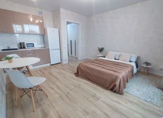 Сдается в аренду квартира студия, 28 м2, Республика Башкортостан, улица Гали Ибрагимова, 5/3