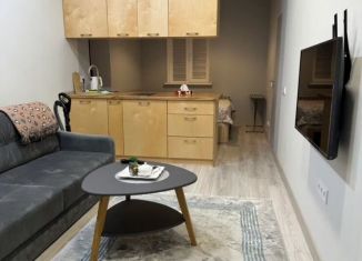 Сдам квартиру студию, 30 м2, Махачкала, улица Буйнакского, 17, Кировский внутригородской район