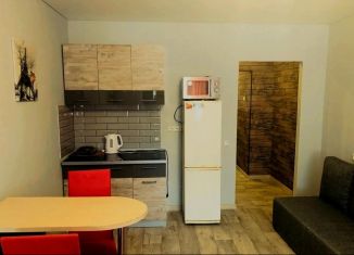 Продаю квартиру студию, 14.5 м2, Москва, Домодедовская улица, 34к1, ЮАО