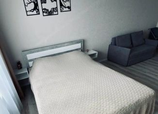 Сдам в аренду однокомнатную квартиру, 42.8 м2, Томск, улица Максима Горького, 66