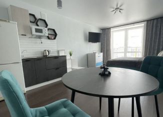 Сдам квартиру студию, 30 м2, Пензенская область, улица Генерала Глазунова, 17