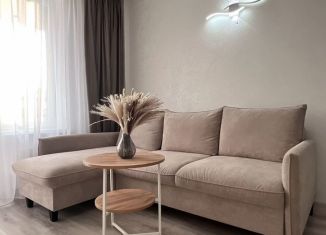 Аренда 1-комнатной квартиры, 40 м2, Псков, Народная улица, 13