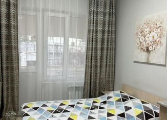 Сдам в аренду квартиру студию, 20 м2, Краснодарский край, переулок Рахманинова, 41