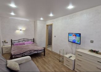 Сдача в аренду 1-комнатной квартиры, 36 м2, Ярославская область, улица Богдановича, 3