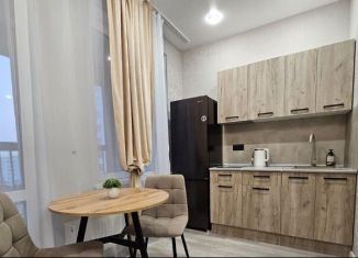 Сдам в аренду квартиру студию, 25 м2, Новосибирск, Тайгинская улица, 39