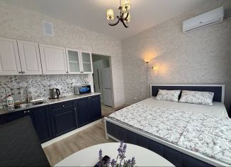 Квартира в аренду студия, 19 м2, Майкоп, улица К.А. Васильева, 1к2