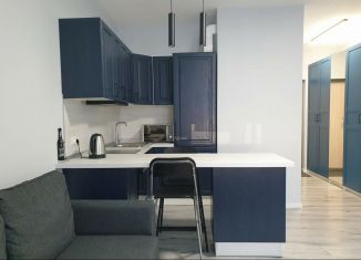 Аренда квартиры студии, 30 м2, Санкт-Петербург, улица Обручевых, 5, метро Академическая