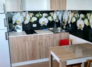 Сдается квартира студия, 25 м2, Санкт-Петербург, Комендантский проспект, 66к1, Приморский район