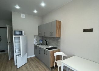 Сдам квартиру студию, 25.1 м2, Краснодарский край, улица имени Героя Дангиреева, 2к2