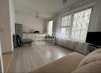 Продажа квартиры студии, 26.9 м2, деревня Сапроново, квартал Центральный, 2, ЖК Эко Видное 2.0