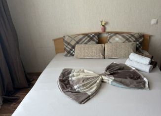 Сдам однокомнатную квартиру, 40 м2, Орёл, улица Генерала Родина, 68, Советский район