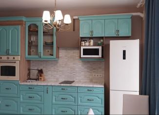 Сдается в аренду квартира студия, 30 м2, Санкт-Петербург, Суздальское шоссе, 24к3, ЖК Новоорловский