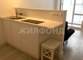 1-комнатная квартира на продажу, 20.8 м2, Новосибирск, метро Заельцовская, Кубовая улица, 115/1
