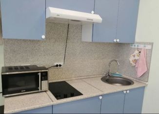 Продаю квартиру студию, 26 м2, Тюмень, Газопромысловая улица, 8, ЖК Новый Мыс 2.0