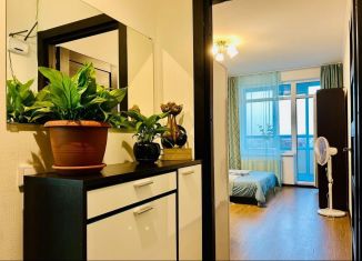 Сдается в аренду квартира студия, 28 м2, Санкт-Петербург, Арцеуловская аллея, 23к1