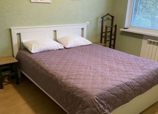 Сдаю 2-комнатную квартиру, 52 м2, Псков, улица Новосёлов, 50