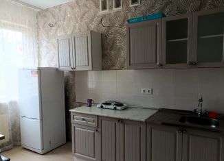 1-комнатная квартира в аренду, 30 м2, Краснодар, Цветной переулок, 2