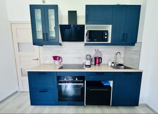 Сдается в аренду однокомнатная квартира, 39 м2, Кронштадт, Тулонская аллея, 8, ЖК Фортеция