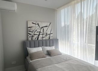 Продажа однокомнатной квартиры, 28 м2, Сочи, Навагинская улица, 11, микрорайон Центральный