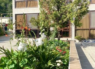 Сдача в аренду квартиры студии, 18 м2, Сочи, Малая улица, 3/3, микрорайон Старая Мацеста