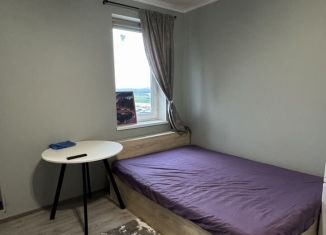 Квартира в аренду студия, 24 м2, посёлок Новогорелово, улица Современников, 3