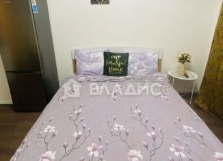 Квартира на продажу студия, 21 м2, Санкт-Петербург, Пейзажная улица, 24к3, метро Гражданский проспект