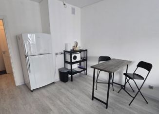 Сдам в аренду квартиру студию, 27 м2, Санкт-Петербург, Ультрамариновая улица