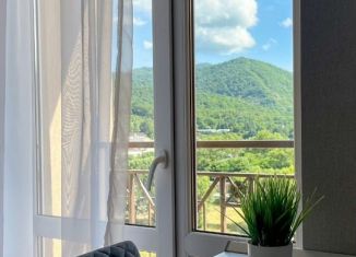 Продажа квартиры студии, 24 м2, Сочи, улица Калараша, 64/13