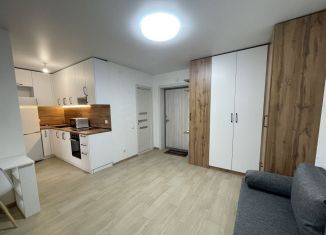 Сдается в аренду 1-комнатная квартира, 22.5 м2, Нижний Новгород, Новокузнечихинская улица, 5