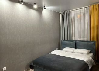 Сдам в аренду 1-ком. квартиру, 40 м2, Республика Башкортостан, улица Менделеева, 10