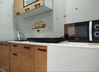 Сдача в аренду квартиры студии, 28 м2, Сочи, улица Ленина, 276, микрорайон Голубые Дали