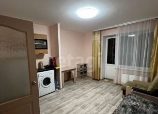 Сдаю в аренду квартиру студию, 30 м2, поселок Зональная Станция, улица Королёва, 12