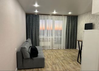 Сдаю в аренду квартиру студию, 21 м2, Тюмень, улица Тимофея Чаркова, 28, ЖК Новый Мыс 3.0