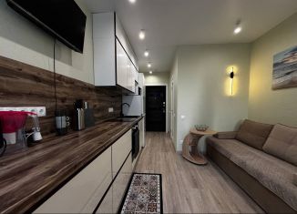 Сдача в аренду квартиры студии, 24 м2, Сочи, Ясногорская улица, 16/6к6, микрорайон Бытха