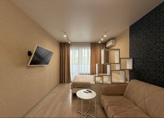 Сдается в аренду 1-комнатная квартира, 40 м2, Новосибирск, улица Ясный Берег, 35, Ленинский район