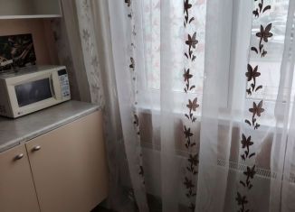 1-комнатная квартира в аренду, 31 м2, Нижний Новгород, Бурнаковская улица, 91