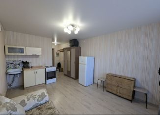 Продается квартира студия, 23 м2, деревня Хохряки, Муромская улица, 4