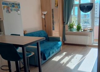 Квартира на продажу студия, 23.5 м2, Санкт-Петербург, Союзный проспект, 4, муниципальный округ Правобережный